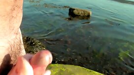 クソ成熟したソフィアスター黒etíčaそ ...