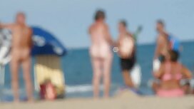 ブラシ、ミューズとお尻の画家 女 警察  ...