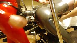 ママは甘い猫を使用しようとしました アダ ...
